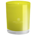 Oilb.io Candles – French Vanilla a warm, creamy scent of French vanilla that envelops your home in coziness and harmony!